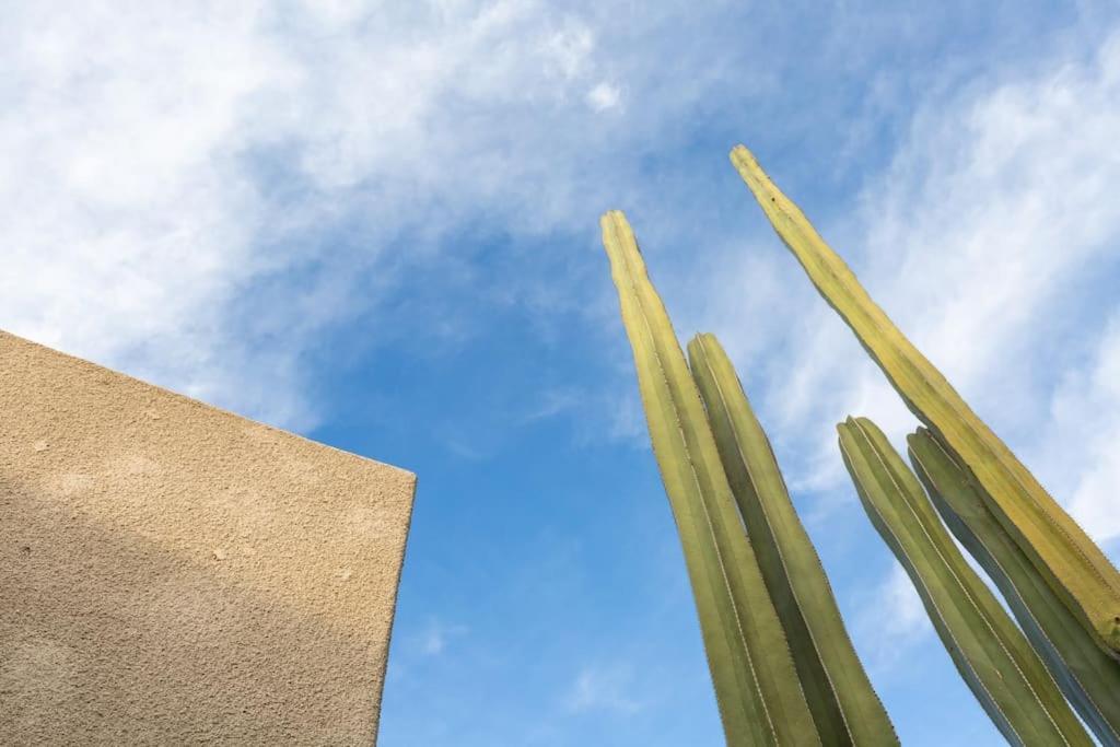 Desert Princess Villa Palm Springs Area Cathedral City Eksteriør bilde